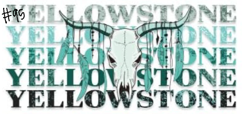 western n' bows